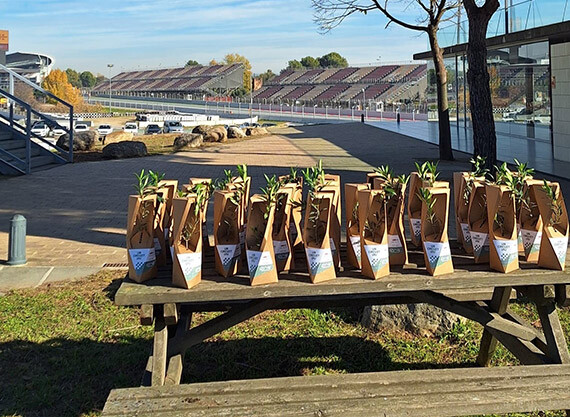 Plantada de árboles en el Circuito de Barcelona-Catalunya para reducir el impacto de la huella de carbono 